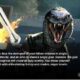 Magic Duels