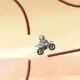 Bike Race