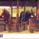Rival Stars Horse Racing