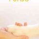 Furbo Dog Camera