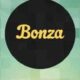Bonza Word Puzzle