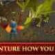 Old School RuneScape