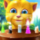 Talking Ginger 2