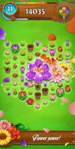 Blossom Blast Saga