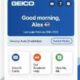 GEICO Mobile