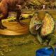 Jurassic World Alive