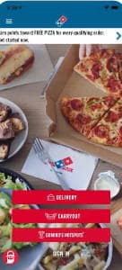 Domino Pizza USA
