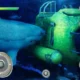 MY Hungry Survival Shark