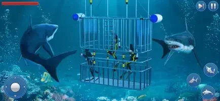 Survival Underwater Shark