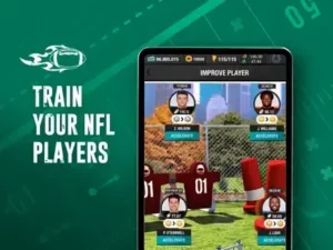 Football Fantasy Manager 2025